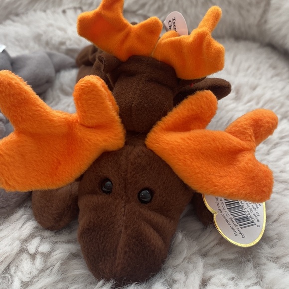 Beanie babies and matching teenies. Inch inchworm, Mel  koala, Chocolate Moose. - Picture 2 of 4